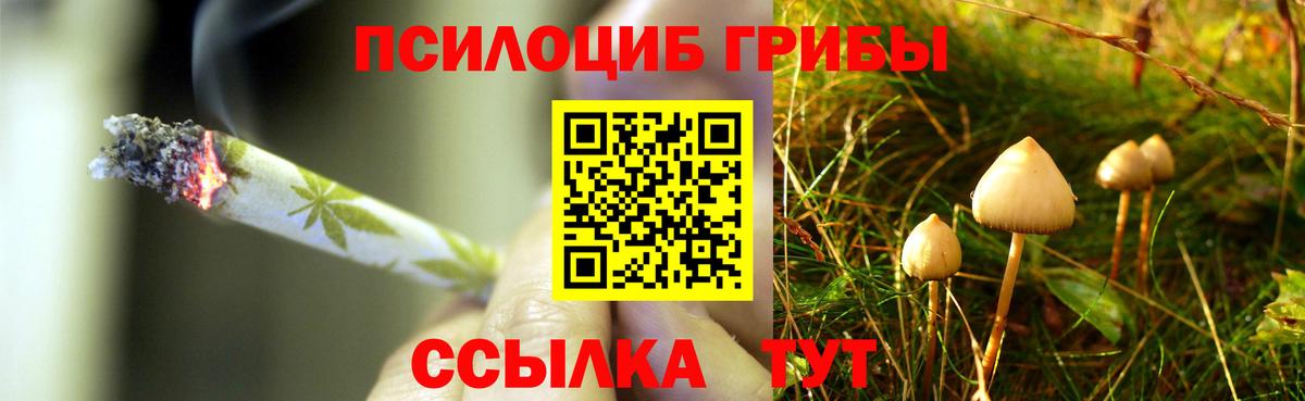 Псилоцибиновые грибы MAGIC MUSHROOMS  Вход с VPN  Реутов 